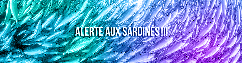 Foule trop dense - Alerte aux sardines !